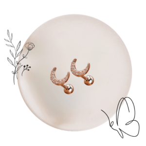 Silver Diamond Moon - Earings